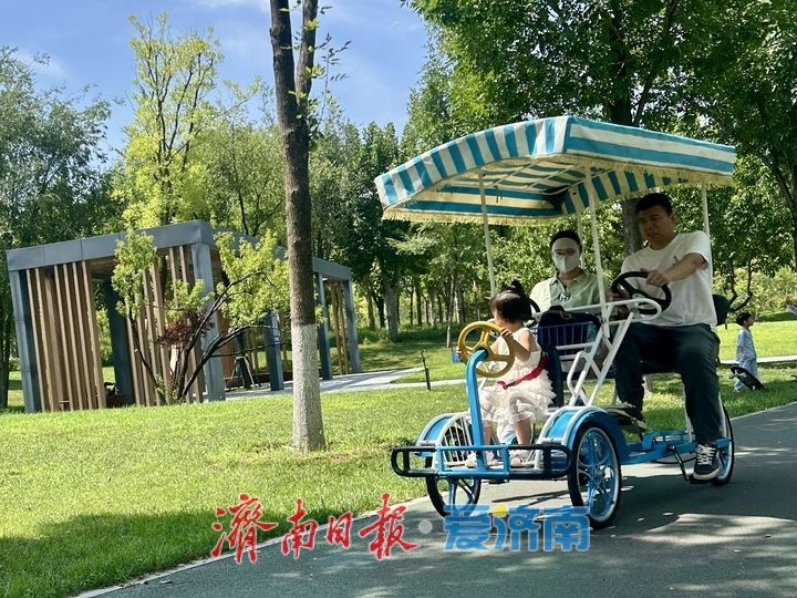 蝉鸣悠长 清风送爽 济钢中央森林公园成市民周末休闲好去处
