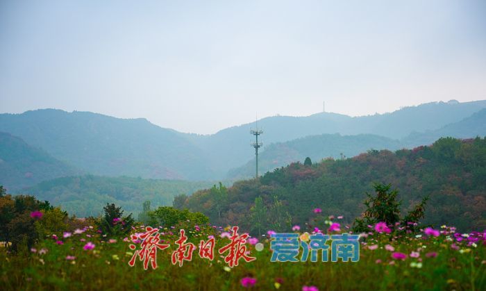 一年四季 泉在济南｜济南南部山区上演“云雾水墨秀”​