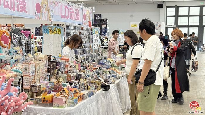 济南幻樱动漫嘉年华在槐荫开幕 4万爱好者畅享盛宴