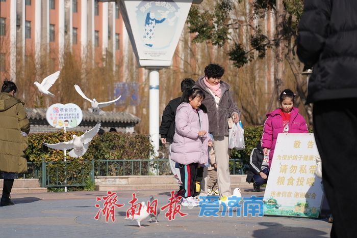 春风和煦，市民欢“鸽”笑语度周末