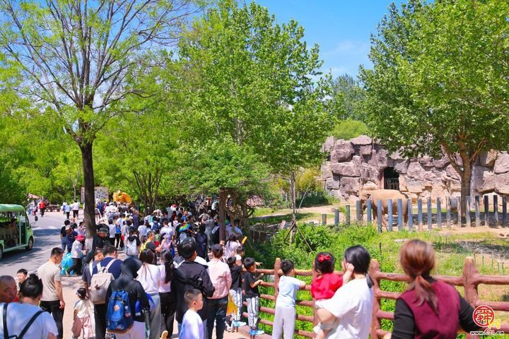 马戏嘉年华燃爆全场，济南野生动物世界首日客流高峰