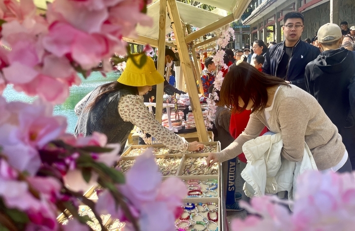 周末畅游花海 享受多彩春天