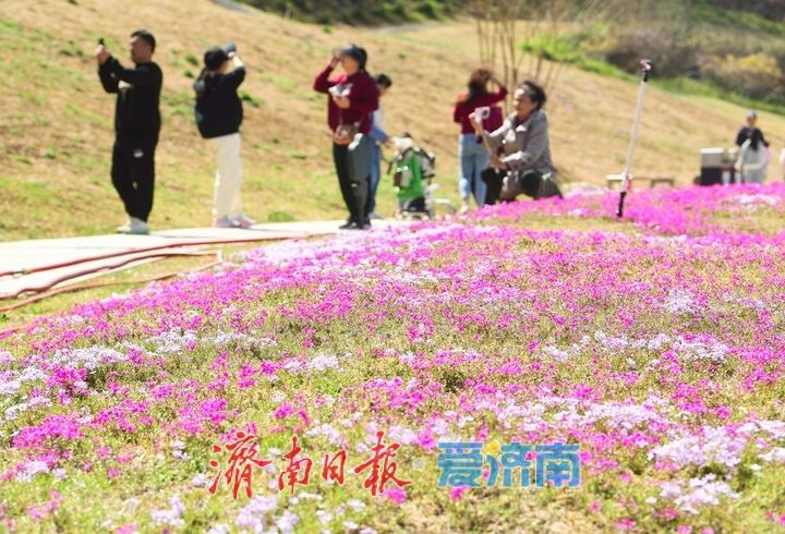 假期最后一天，济南这些地方不要错过！