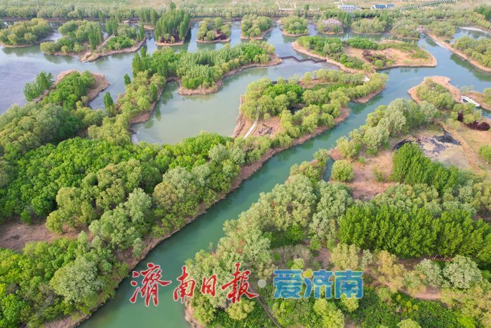 “城市绿肺”尽显春日生态美