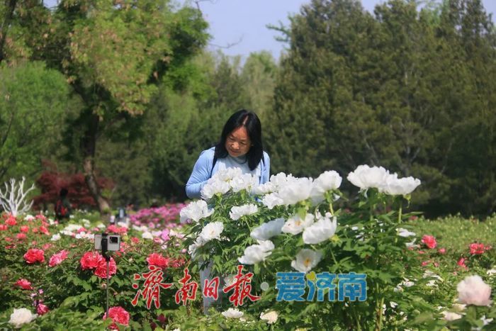五一济南植物园喊你去打卡：花海、非遗、市集全都有