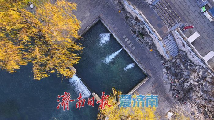 一河碧水映金柳，满城冬韵入泉声