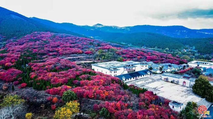 “这里是章丘！”——文祖篇