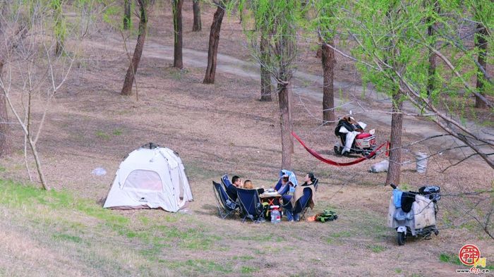 飞阅黄河大坝，邂逅“生态廊道”的春日序章｜春满槐荫·黄河长堤画卷①