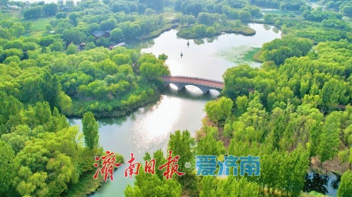 初秋画卷徐徐展开，济西湿地引客来