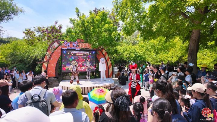 马戏嘉年华燃爆全场，济南野生动物世界首日客流高峰