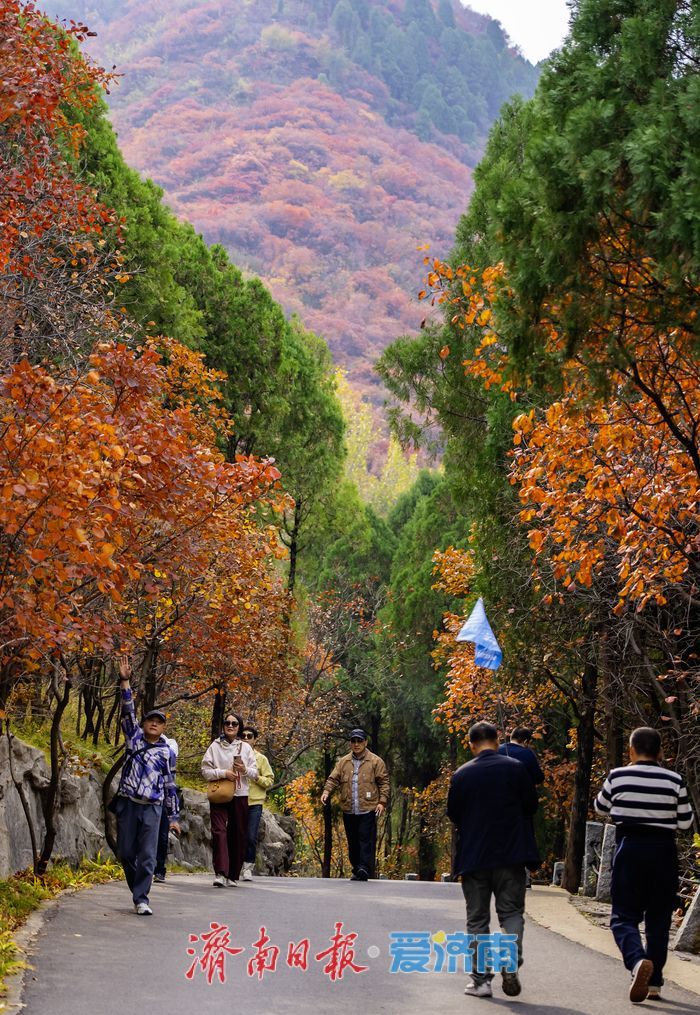 济南红叶谷氛围感拉满！沉浸式感受“万山红遍”的限定浪漫