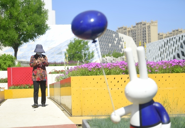 济南“七彩花田”初夏绽新颜