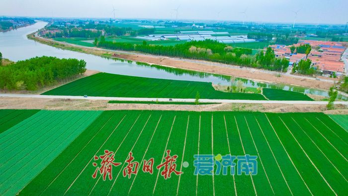 一年四季 泉在济南丨一河碧水绕良田 徒骇河畔田园美