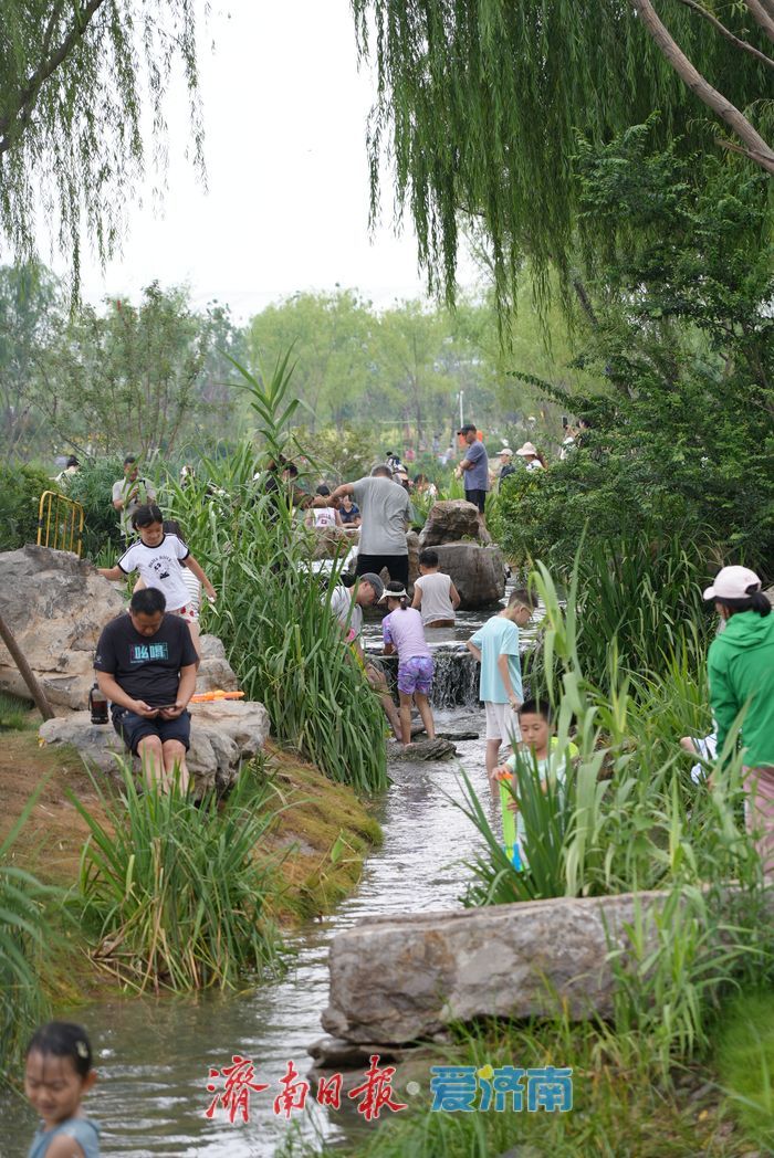 今日入伏，市民泉畔消暑纳凉
