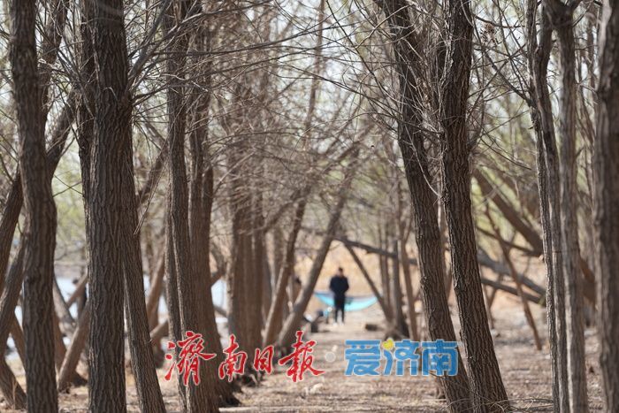 春满泉城绿意浓 玉符河畔踏青忙