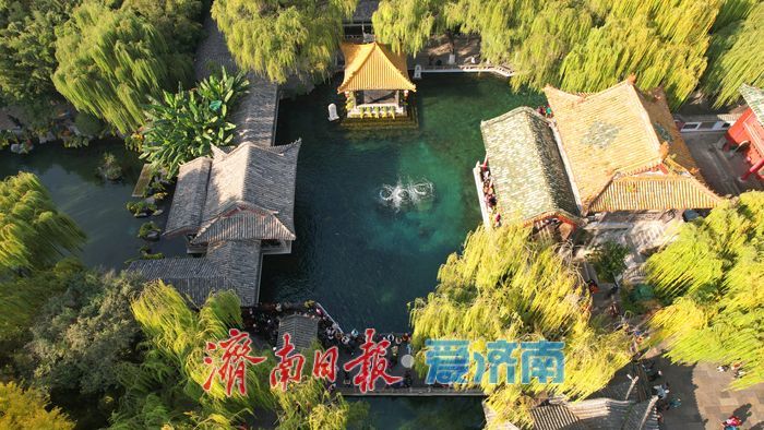 初冬泉城醉美游人