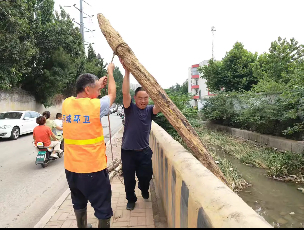 出动1900余人，济南各级水务部门进行雨后河道“大扫除”