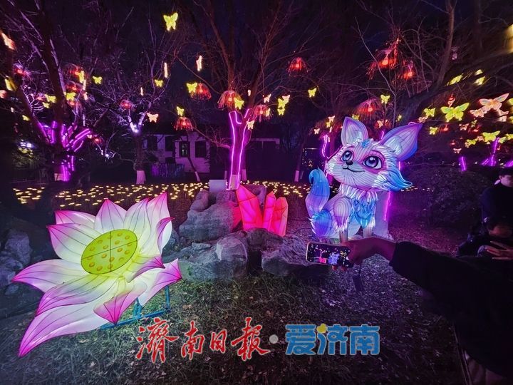 “泉”在济南过大年丨五龙潭花灯持续火爆 点亮泉城新春夜