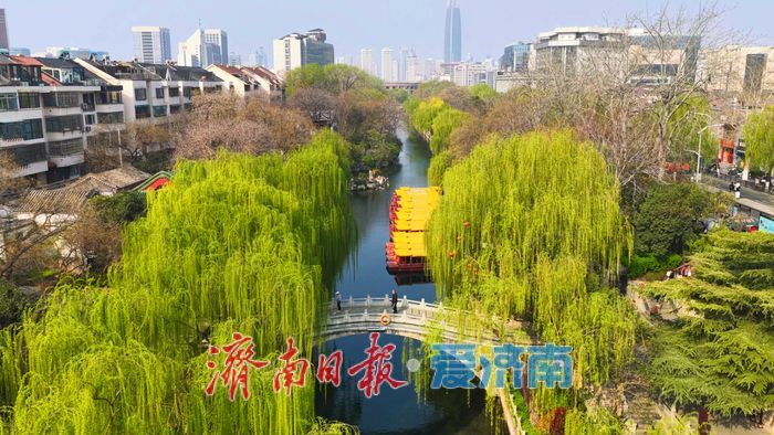 “泉城玉带”澄澈如练 护城河畔绿柳如烟