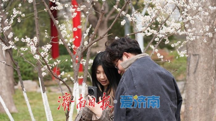 济南泉城公园“梅杏争春”醉游人