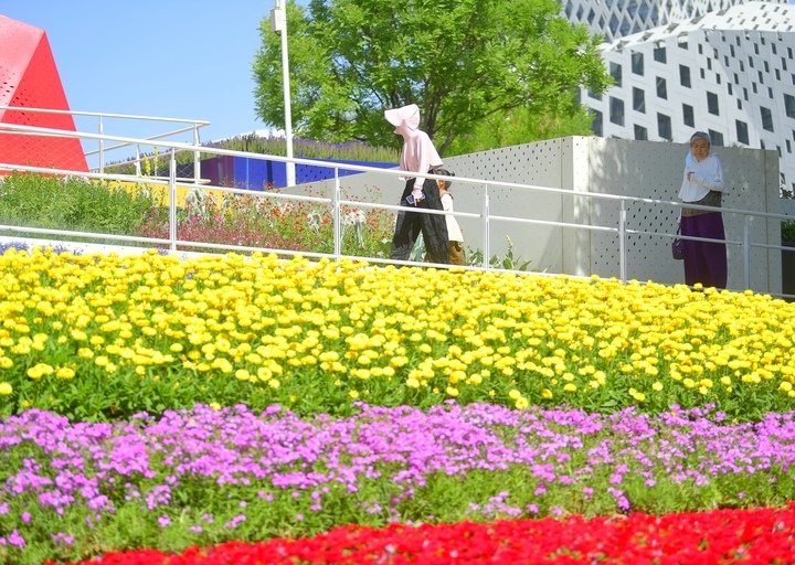 济南“七彩花田”初夏绽新颜