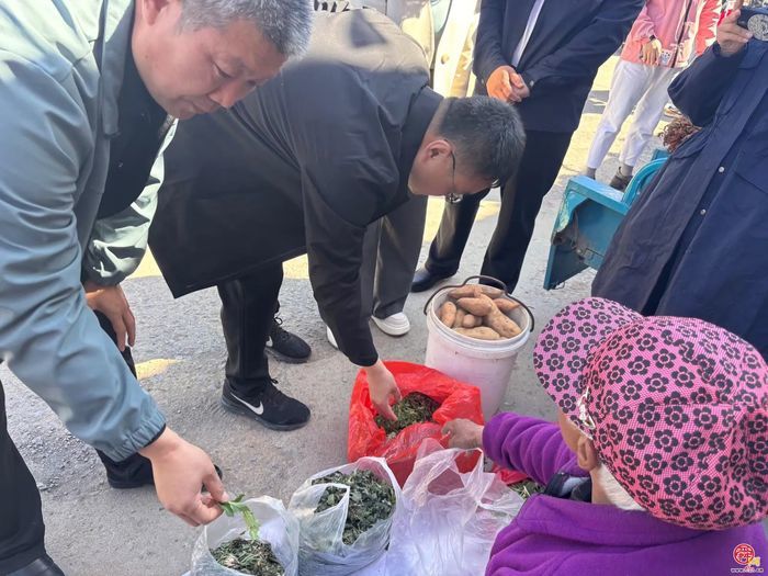 普集街道第三届香椿采摘节开幕啦!