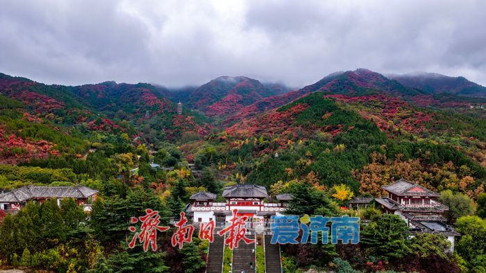 一年四季 泉在济南丨一场秋雨，为红叶谷拉满秋日氛围感