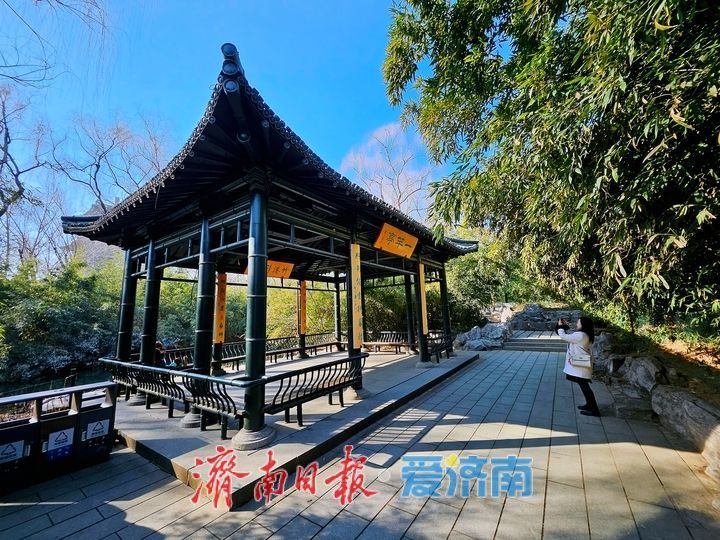 一年四季 泉在济南丨早春踏青正当时