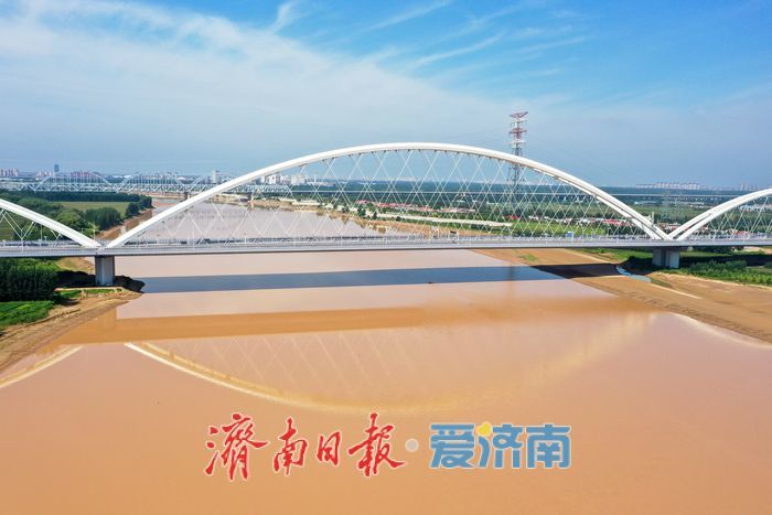 金色长廊映黄河，济南百里生态画卷徐徐展开