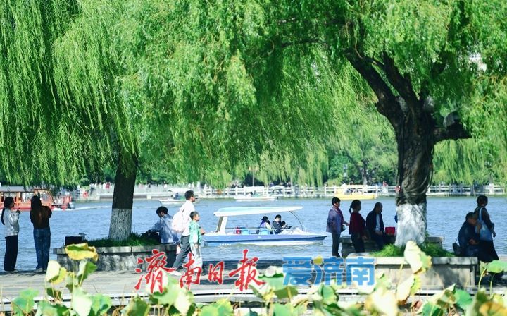 湖光潋滟游人醉，国庆过半天下第一泉景区迎客破“百万”