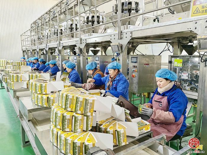 云话山东｜种植示范基地创新“六统一”模式 日照金果粮油走向低能耗、无污染良性发展之路