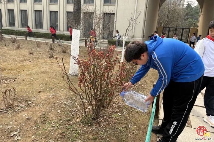 春光作序 植此新绿——济南市历下区龙奥学校植树节主题活动