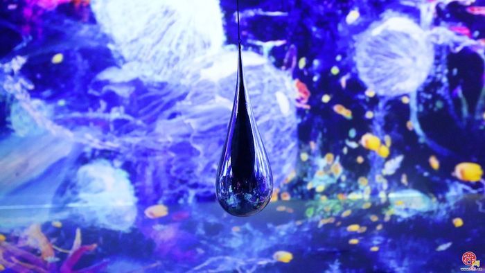 无限之海——沉浸式AI数字艺术展