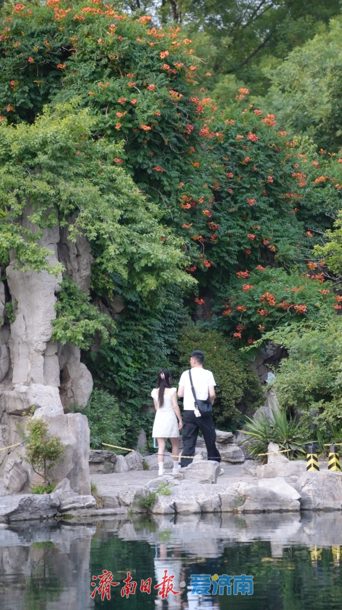 一年四季 泉在济南 