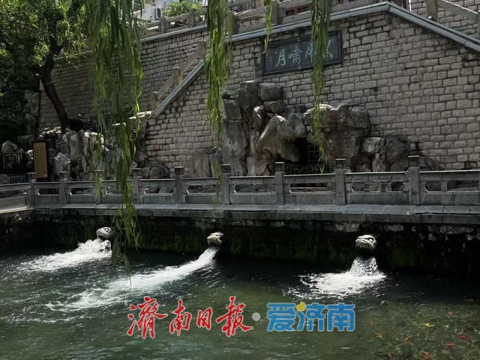 降雨补给水位攀升 黑虎泉三兽首喷涌气势十足