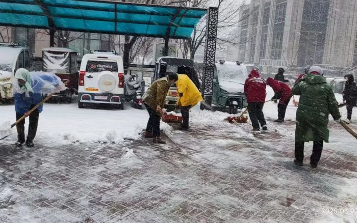 济南各区县以雪为令，全力以赴保畅通护民安