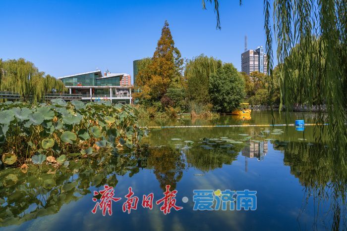 一年四季 泉在济南丨泉城公园：秋光正好，邂逅城市中的自然诗意