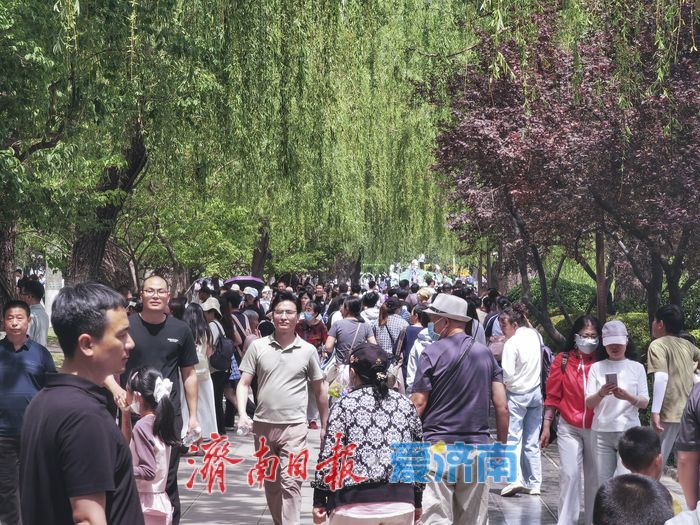 一年四季 泉在济南｜大明湖畔“五一”收官日游人如织