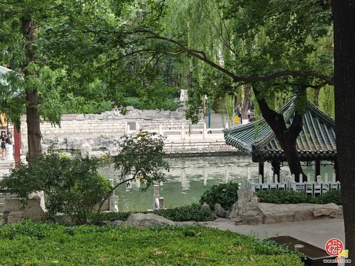 城市因园林更美好 生活因园林更幸福——2025年济南市园林和林业绿化局高质量成果展（生态建设篇）