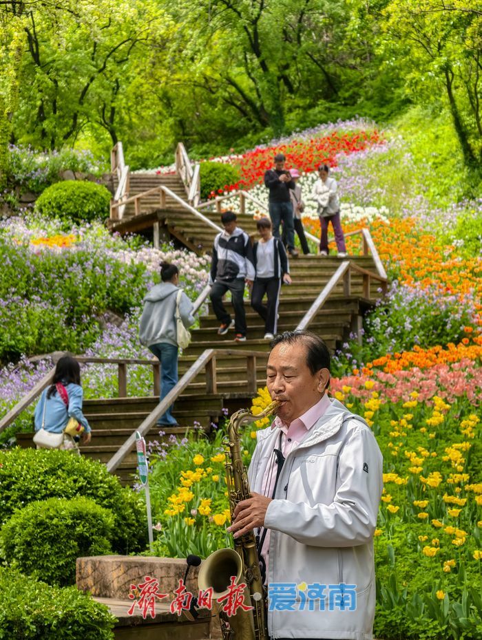 亮相央视获点赞，济南红叶谷邀您打卡花海盛宴