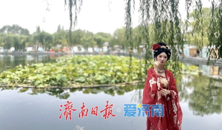 夏日限定！济南百花洲荷花盛放，开启清凉赏荷季