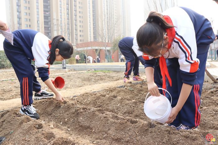 济南市天桥区枫景小学开展植树节活动