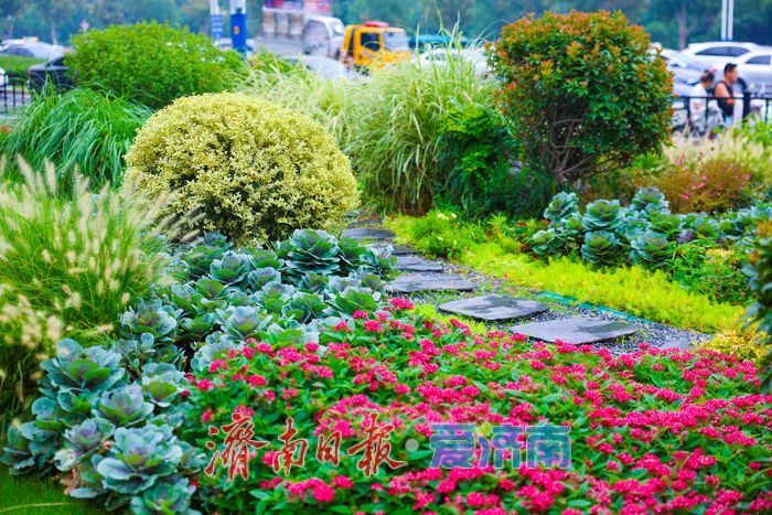一年四季 泉在济南丨经十路奥体中路街角花园雨后焕新颜