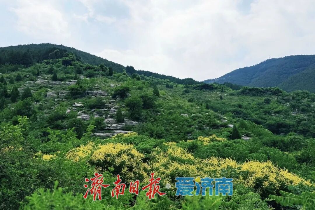 乘地铁，寻古韵！端午假期漫游泉城