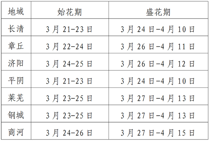 济南的春天，这里的油菜花最好看