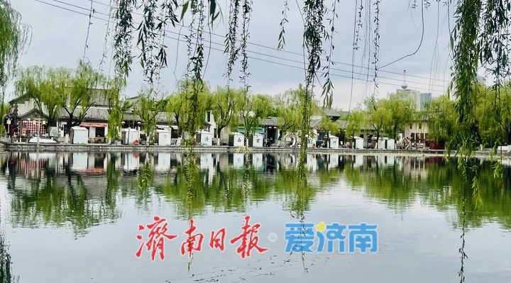 一年四季 泉在济南丨泉城春深处 晴波映古街
