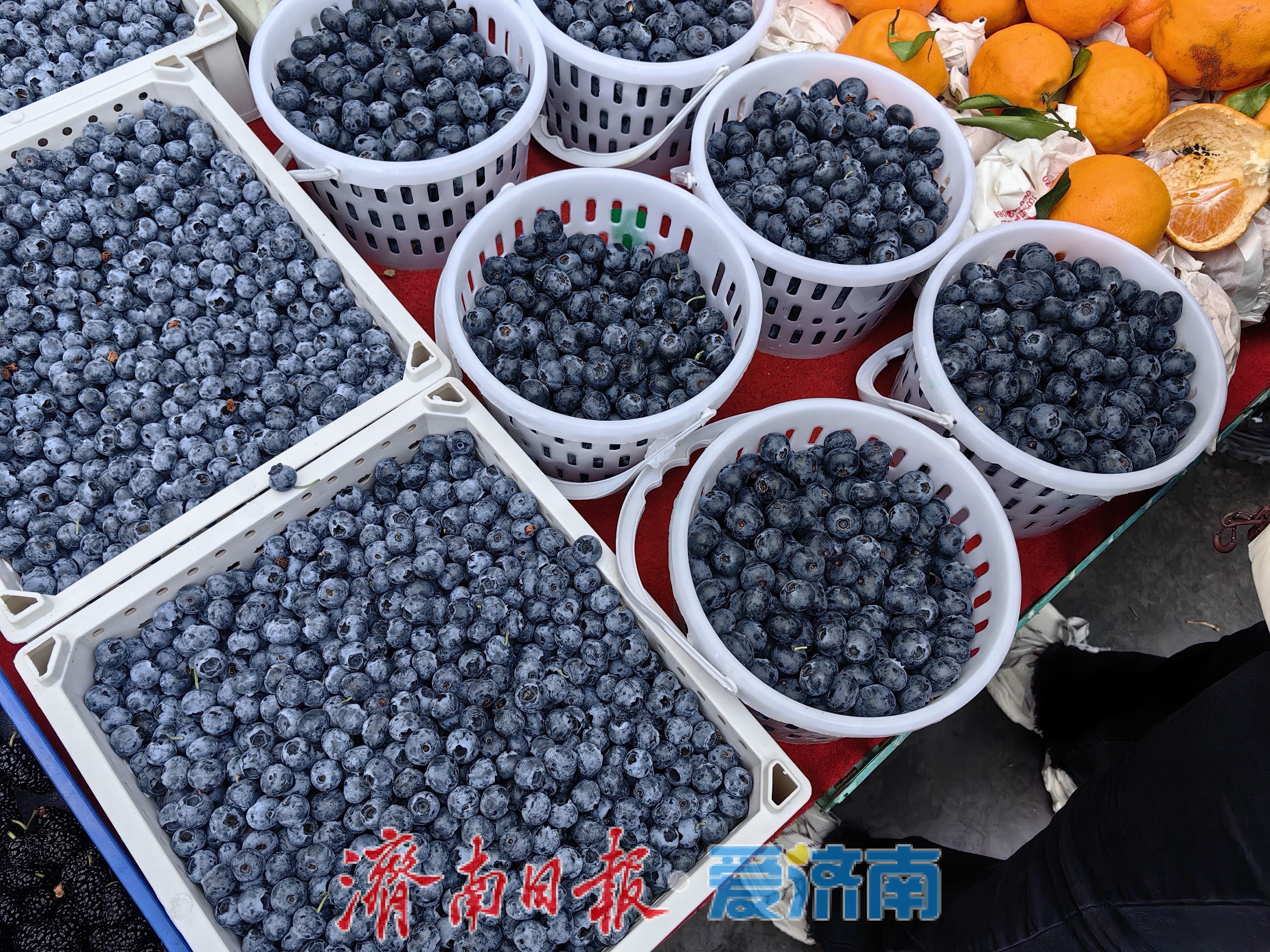 集中上市！ “贵族水果”蓝莓降价了