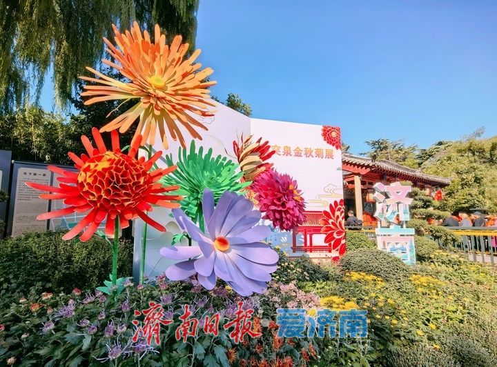 趵突流芳·菊绘华章，济南市第47届趵突泉金秋菊展加载进度90%！