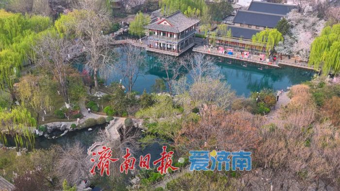 一年四季 泉在济南丨龙潭春晓，泉韵生香