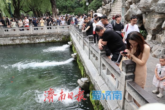 济南护城河游人如织尽显泉城风韵